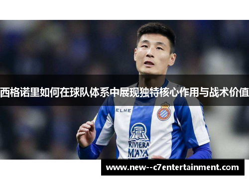 西格诺里如何在球队体系中展现独特核心作用与战术价值 西格诺里如何在球队体系中展现独特核心作用与战术价值