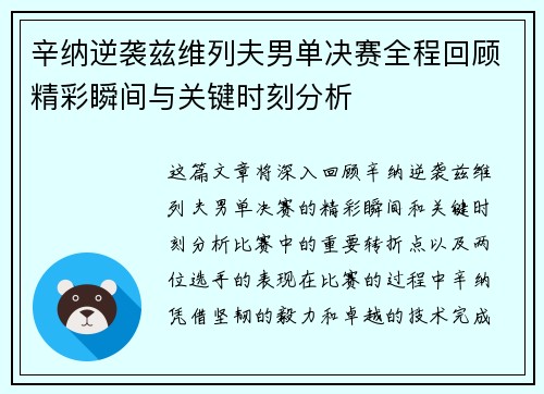 辛纳逆袭兹维列夫男单决赛全程回顾精彩瞬间与关键时刻分析
