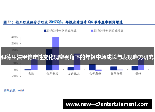 佩德里法甲稳定性变化观察视角下的年轻中场成长与表现趋势研究