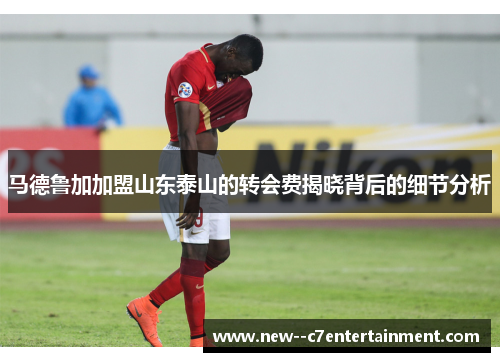 马德鲁加加盟山东泰山的转会费揭晓背后的细节分析