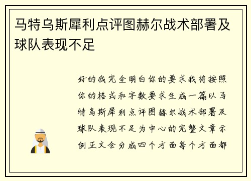 马特乌斯犀利点评图赫尔战术部署及球队表现不足